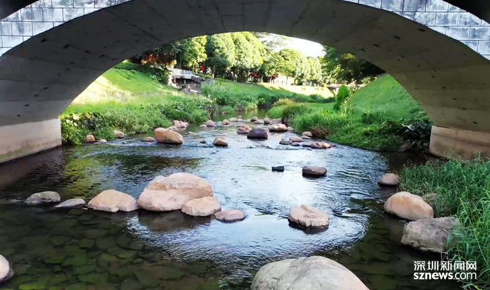福田河碧道。（本网资料图）