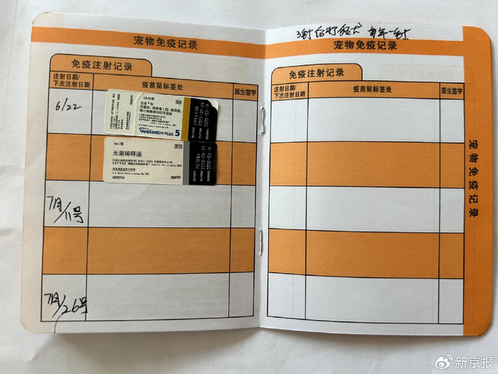 宠物店为刘女士提供的《宠物健康免疫证》。受访者供图