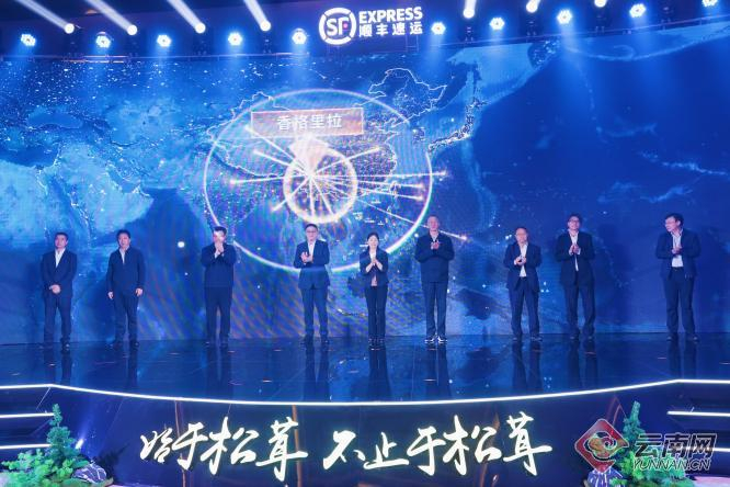 松茸出滇 “鲜”达全球