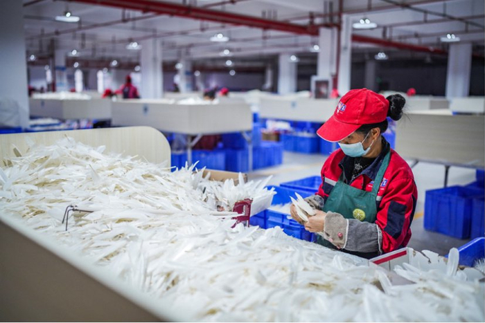 （某羽毛球生产基地，工人在生产车间内将鹅毛挑选分类。图片来源：新华社）
