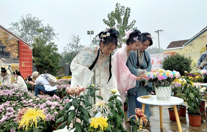菊花文化旅游季期间，游客前来打卡、赏菊。（固镇县委宣传部供图）