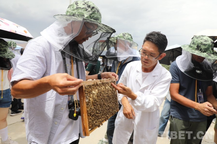 图为在蜂场工人的帮助下，香港青少年尝试着拿起蜂巢板。摄影：桑吉