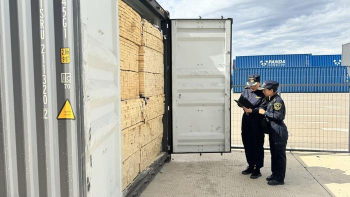 满洲里海关关员对中欧班列集装箱货物开展查验。（解弆文摄）