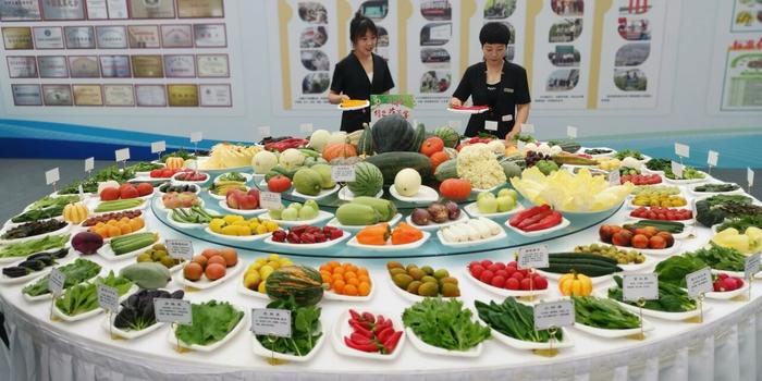 7月5日，在青县大司马现代农业园区，工作人员正陆续将蔬菜摆上餐桌，组成“大司马蔬菜宴”。  河北日报记者戴绍志摄
