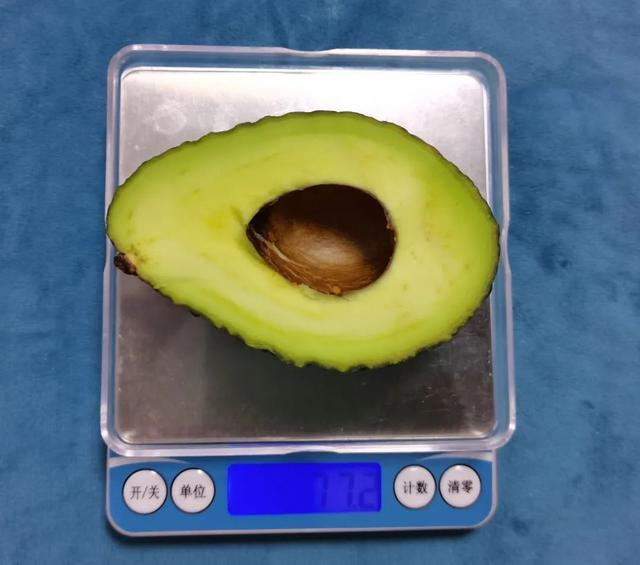 图：半个牛油果约 80 克（作者供图）