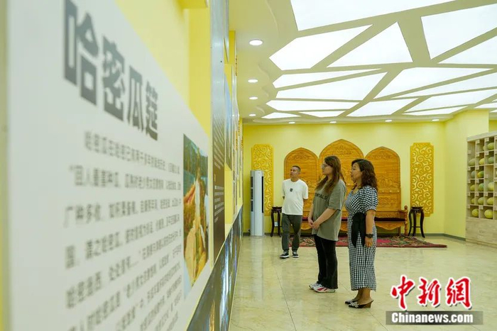 市民正在了解哈密瓜传统种植过程。张超 摄