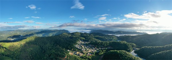 普洱景迈山古茶林全景 陈飞 摄南糯山古茶树群胡妤雅 摄镇沅2700年