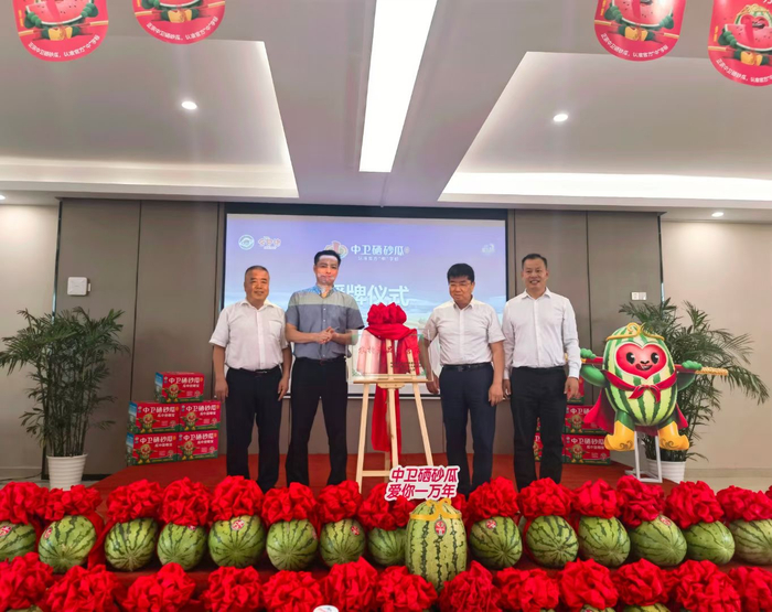 图为活动现场为直营门店授牌仪式