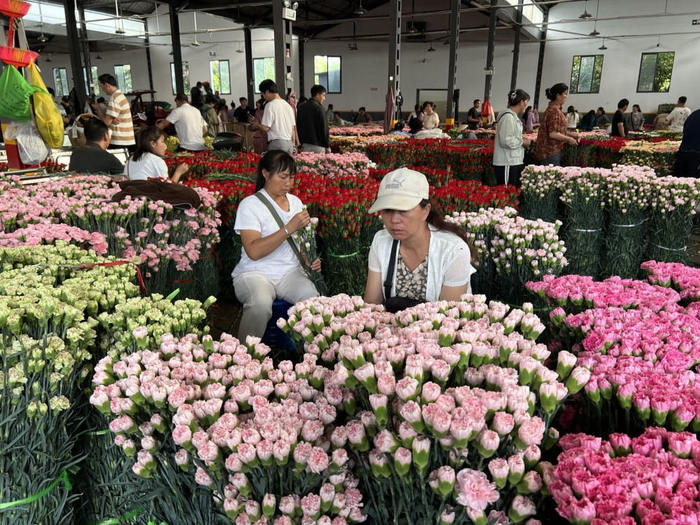 傍晚,走进斗南花卉市场,满眼都是开着三轮车,骑着摩托车,推着小推车