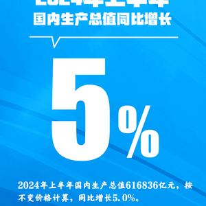 稳中有进！上半年GDP同比增长5.0%，经济数据一览→