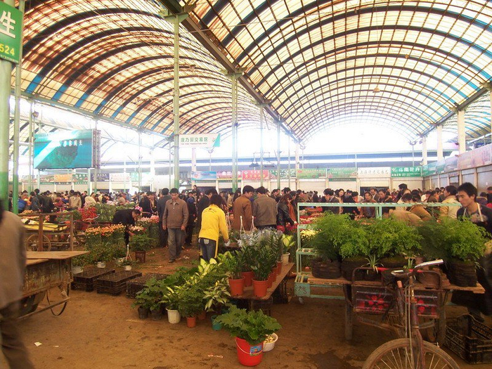 1995年扩建后的花卉市场从村级花市到"亚洲花都"进入21世纪,斗南花市