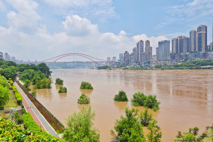 正见| 闻"汛"而动 用不屈筑成坚实的防线|重庆市_新浪新闻