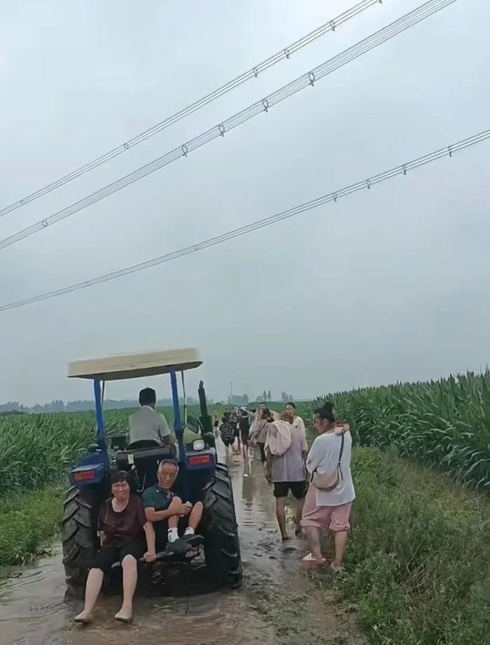 在南阳市唐河县桐寨铺镇，数十位村民正沿着田埂撤离。图/视频截图