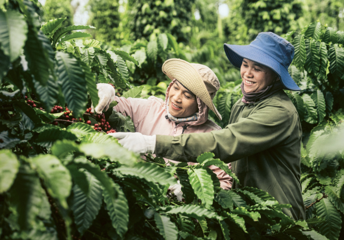 图片来源：雀巢