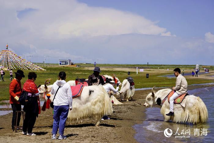 游客体验牦牛骑行。人民网记者 甘海琼摄