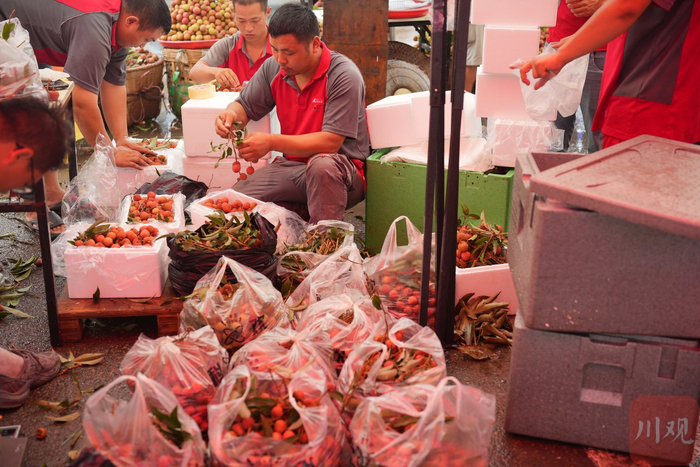 快递员正在将荔枝打包装箱。