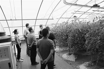 图为在北京市昌平区小汤山镇国家精准农业研究示范基地15号日光温室中落地的变量智慧灌溉场景。受访团队供图