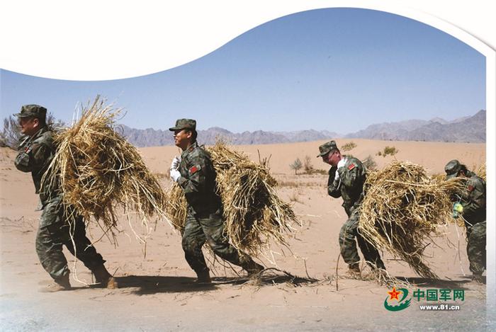 内蒙古巴彦淖尔军分区组织民兵运送草料铺设草方格。李恩泽 摄