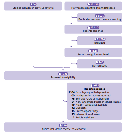图2：实验设计流程图