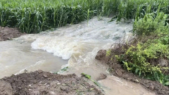 不断流进庄稼地的水