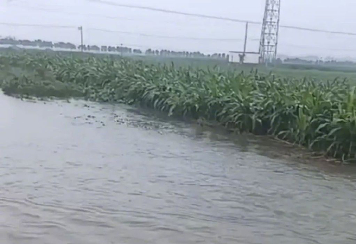 不断流进庄稼地的水