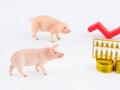 生猪价格再度刷新年内新高，本轮“猪周期”还能走多远？