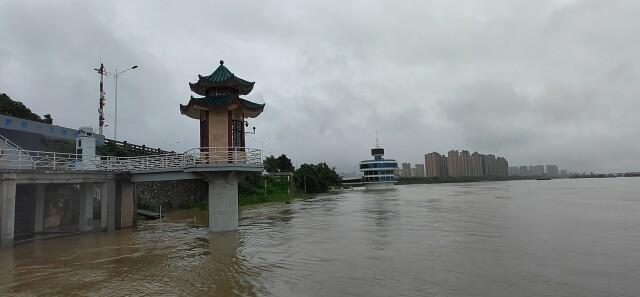 （长江来水增加，导致城陵矶水位上涨。湖南日报全媒体记者 奉永成 摄）
