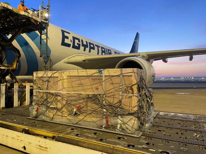 ↑6月中旬，埃及文物抵达上海浦东国际机场（上海浦东国际机场供图）。