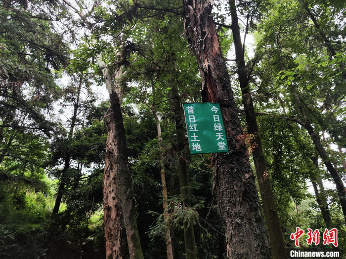 长征路上学党史|会昌山上见彩虹,赣南大地"风景这边独好"!|会昌|刘越|