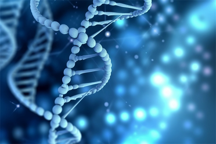 （图片来源：摄图网）