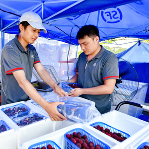 【央广时评】小包裹大民生 合力跑好快递进村“最后一公里” 快递 民生 乡村 物流 客货 公交车 快递企业 农村 成本 最后一公里 sina.cn 第2张