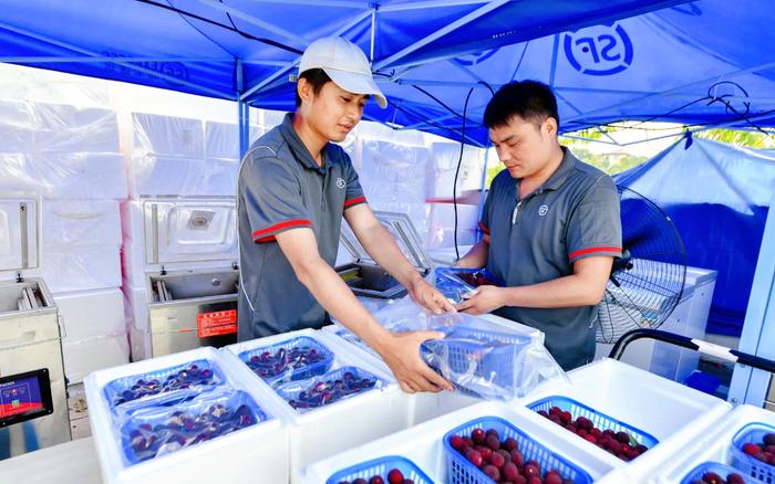 【央广时评】小包裹大民生 合力跑好快递进村“最后一公里” 快递 民生 乡村 物流 客货 公交车 快递企业 农村 成本 最后一公里 sina.cn 第3张