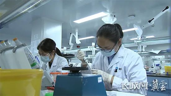 国科赛赋河北医药技术有限公司工作人员正在进行实验。中共固安县委宣传部 供图