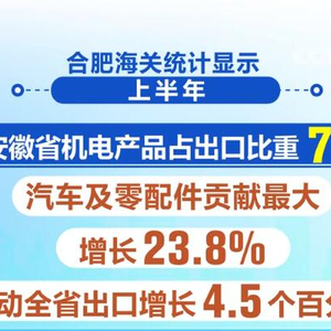 中国外贸半年报 | 读懂“成绩单”里的中国经济发展亮色(含视频) 外贸 海关 贸易 进出口 货物 进出口总值 服装 规模 越南 哈萨克斯坦 sina.cn 第2张