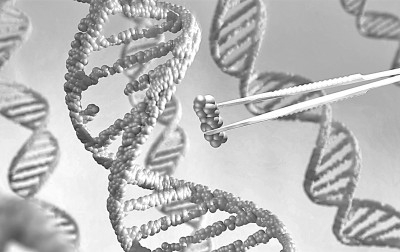     光明图片/视觉中国