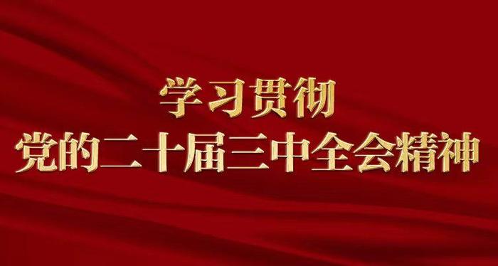 中国现代化新征程：党的二十届三中全会精神解读