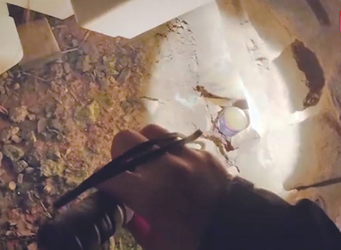     用强光寻找在角落里的宠物