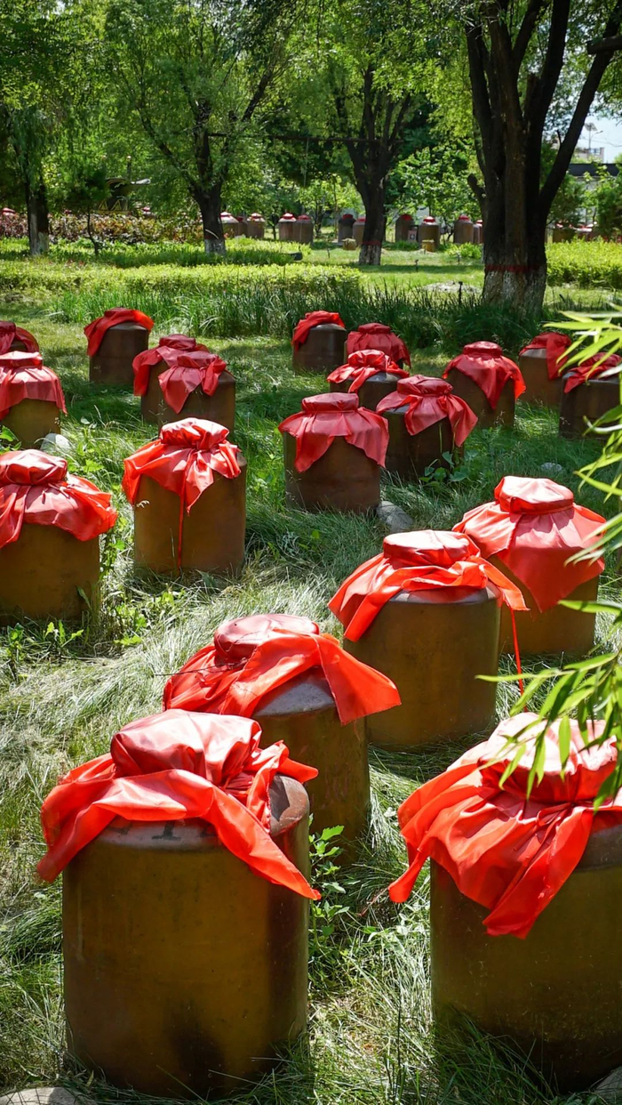 摄影/好酒地理局视频中心