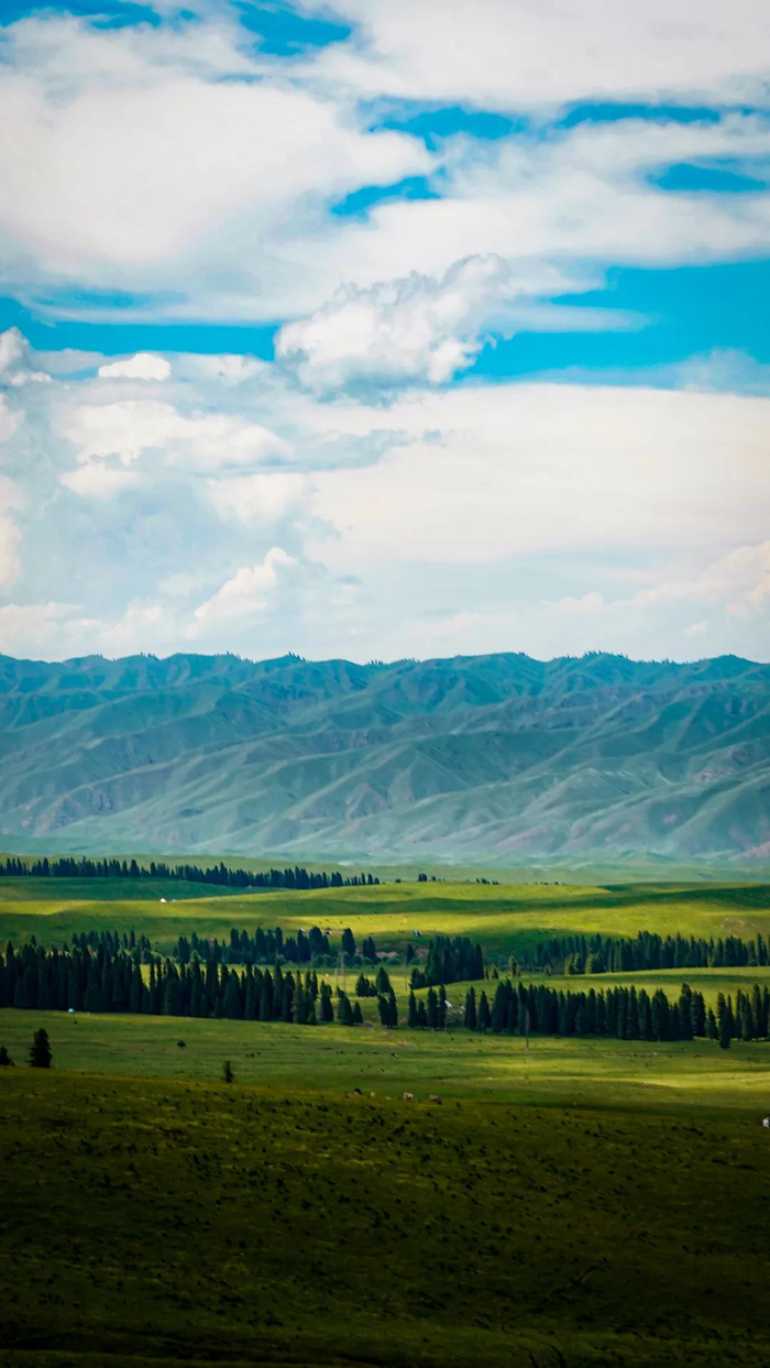 摄影/好酒地理局视频中心