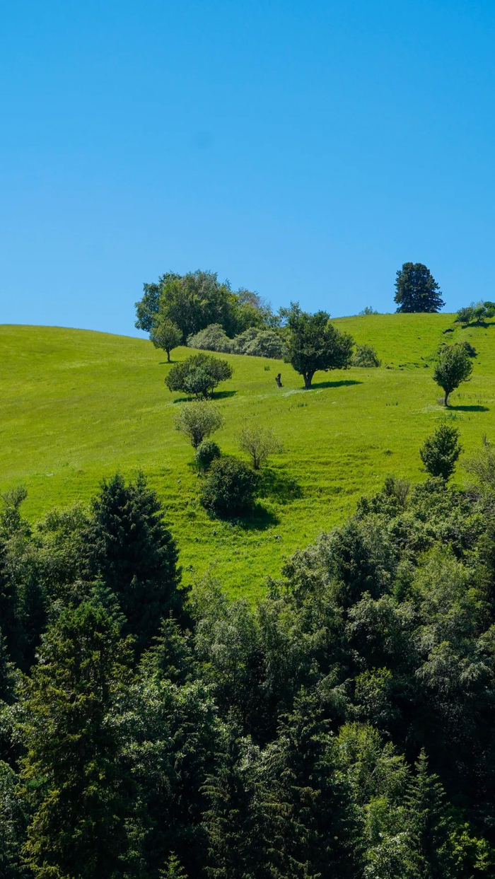 摄影/好酒地理局视频中心