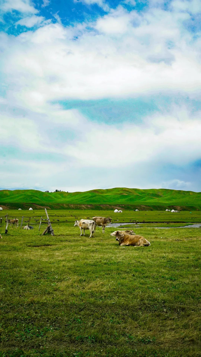 摄影/好酒地理局视频中心