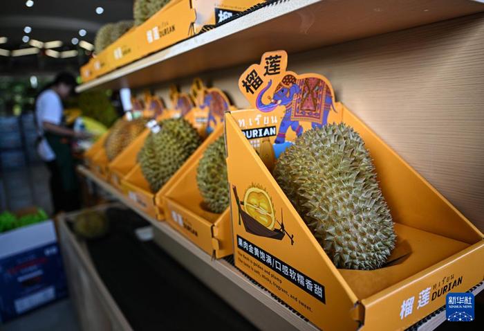   7月19日在海南省三亚市一家水果店拍摄的待售的国产榴莲。新华社记者 蒲晓旭 摄