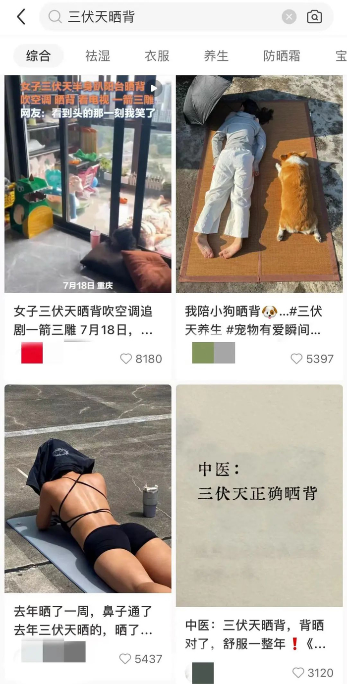  图片为某书搜索“三伏天晒背”显示的内容