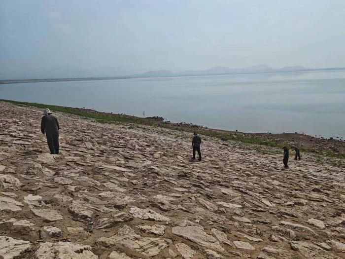 7月16日，专业技术人员对黄壁庄水库副坝的上游坝坡开展拉网式巡查。  河北日报记者苑立立摄