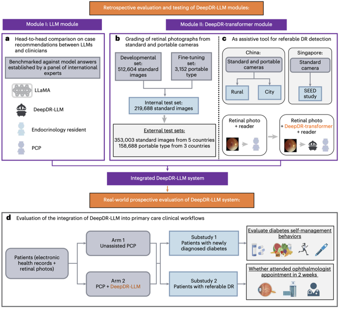 图3. DeepDR-LLM系统评估流程