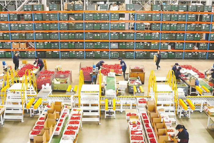 近年来，就业地参保户籍限制逐步放宽。图为工作人员在山东华源索具有限公司自动包装生产线忙碌。&nbsp;新华社图