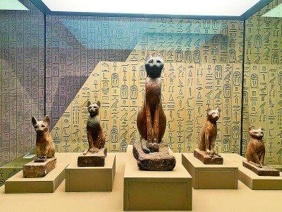 　　图为展厅里的青铜猫坐像（中）和猫木雕。光明日报记者 颜维琦摄/光明图片