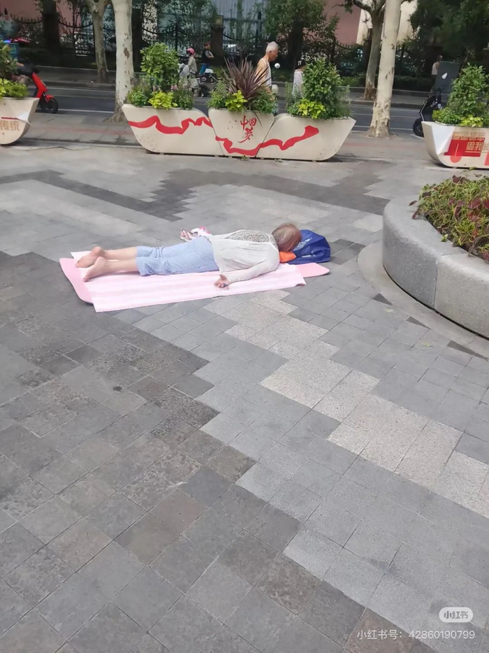 图片来自小红书