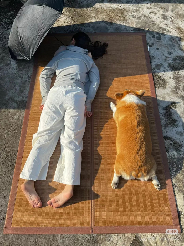 图片来自小红书