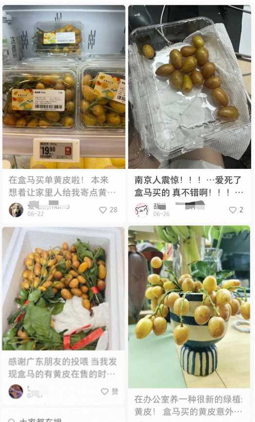 （图：社交媒体上，各地网友分享这一口感独特的南方水果）